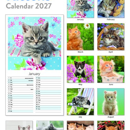 Tallon Kittens & Puppies Midi Kalender 2027