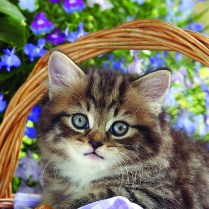 Tallon Kittens & Puppies Midi Kalender 2027