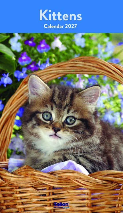 Tallon Kittens & Puppies Midi Kalender 2027