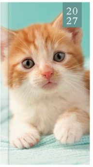 Tallon Pocket Agenda 2027 Foto Kitten & Puppy