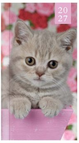 Kitten Roze