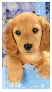 Tallon Pocket Agenda 2027 Foto Kitten & Puppy