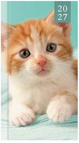 Green Kitten