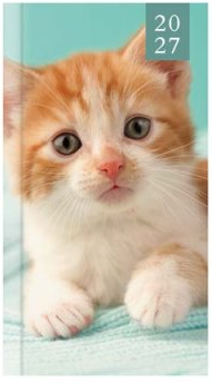 Tallon Slim Agenda 2027 Kitten & Puppy