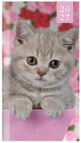 Pink Kitten
