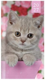 Tallon Slim Agenda 2027 Kitten & Puppy