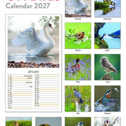 Tallon UK Birds and UK Wildlife Midi Kalender 2027