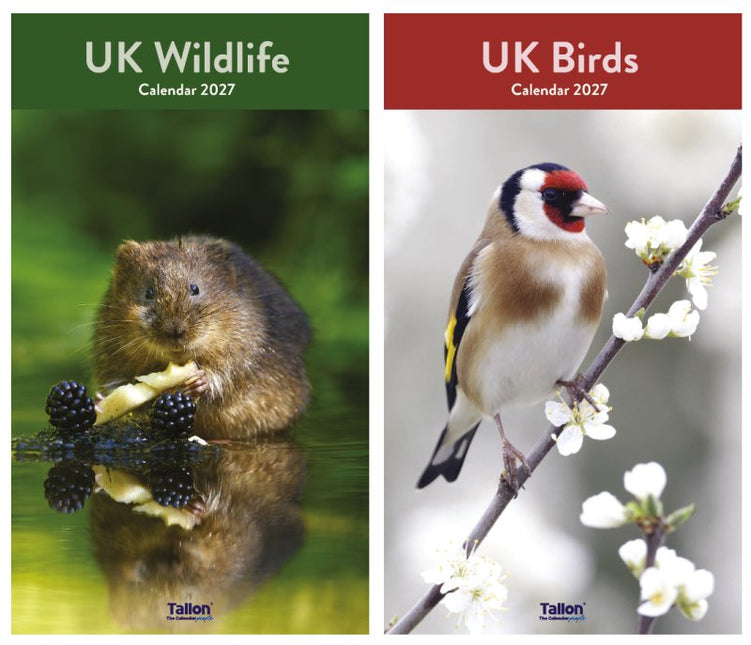 Tallon UK Birds and UK Wildlife Midi Kalender 2027