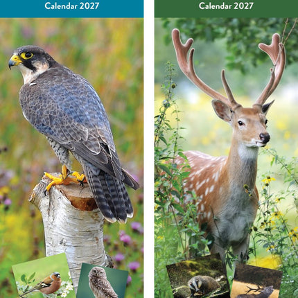 Tallon UK Birds & Wildlife Kalender 2027 Slimline