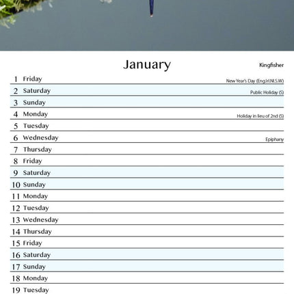 Tallon UK Birds & Wildlife Kalender 2027 Slimline