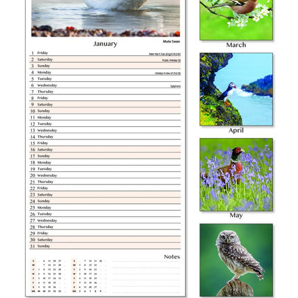 Tallon UK Birds & Wildlife Kalender 2027 Slimline