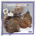 Winter Wildlife