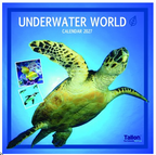 Underwater World