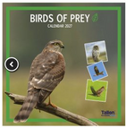 Birds of Prey