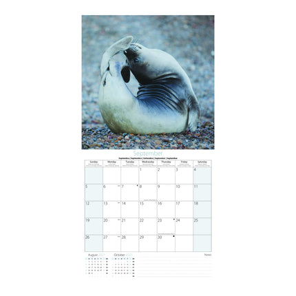 Tallon Yoga Animals Kalender 2027