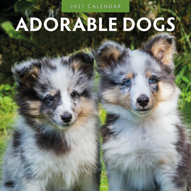 The Gifted Stationary Adorable Dogs Kalender 2027