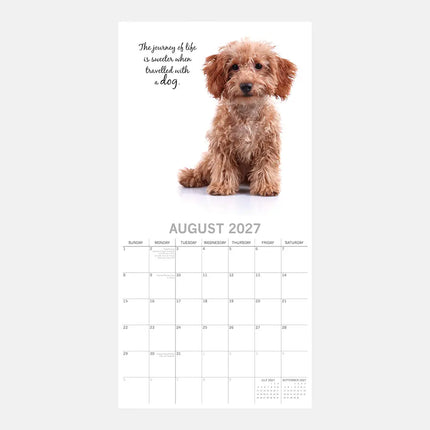 The Gifted Stationary Adorable Dogs Kalender 2027
