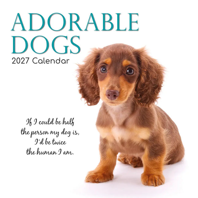 The Gifted Stationary Adorable Dogs Kalender 2027
