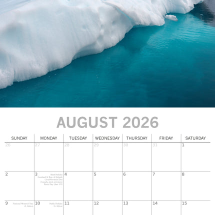 The Gifted Stationary Antarctica Kalender 2026