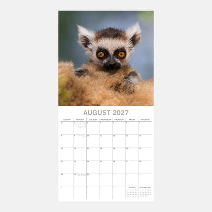 The Gifted Stationary Babydieren Kalender 2027