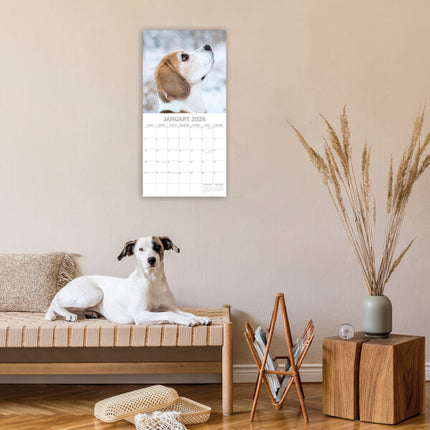 The Gifted Stationary Beagle Kalender 2026
