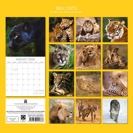 The Gifted Stationary Big Cats Kalender 2026