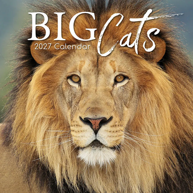 The Gifted Stationary Big Cats Kalender 2027