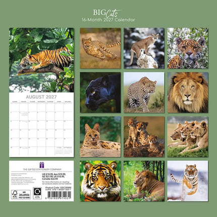 The Gifted Stationary Big Cats Kalender 2027