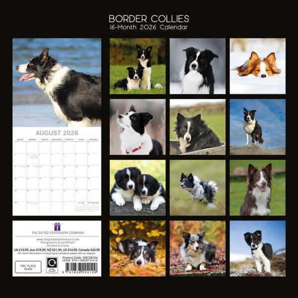 The Gifted Stationary Border Collie Kalender 2026