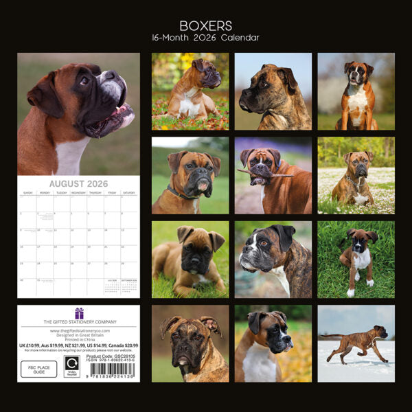 The Gifted Stationary Boxer Kalender 2026