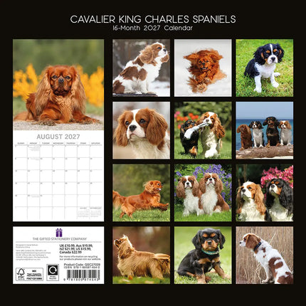 The Gifted Stationary Cavalier King Charles Spaniel Kalender 2027