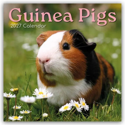 The Gifted Stationary Cavia Kalender 2027