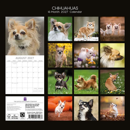 The Gifted Stationary Chihuahua Kalender 2027