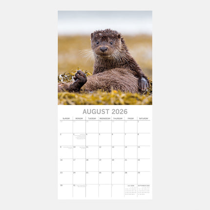 The Gifted Stationary Country Wildlife 16 Maanden Kalender 2026
