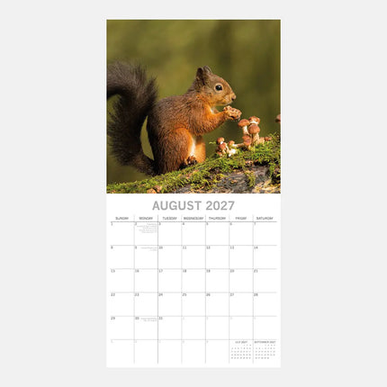 The Gifted Stationary Country Wildlife Kalender 2027