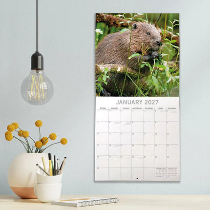 The Gifted Stationary Country Wildlife Kalender 2027