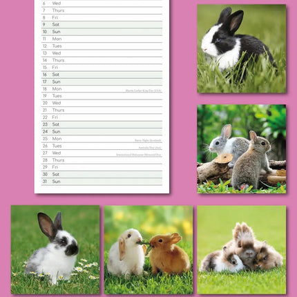 The Gifted Stationary Cute Bunnies Kalender Slimline 2027