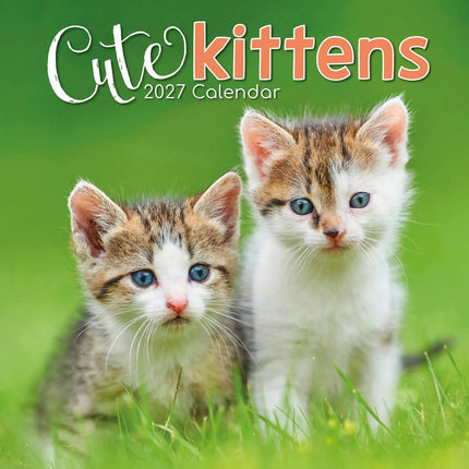 The Gifted Stationary Cute Kittens Kalender 2027