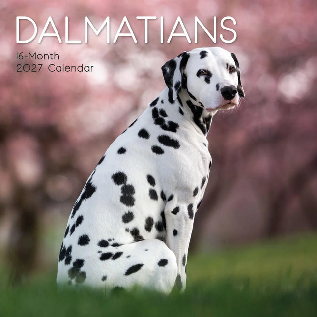 The Gifted Stationary Dalmatiër Kalender 2027