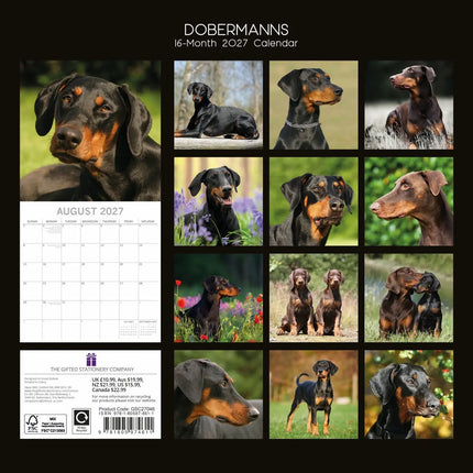 The Gifted Stationary Dobermann Kalender 2027