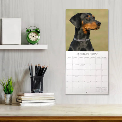 The Gifted Stationary Dobermann Kalender 2027