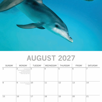 The Gifted Stationary Dolfijnen Kalender 2027