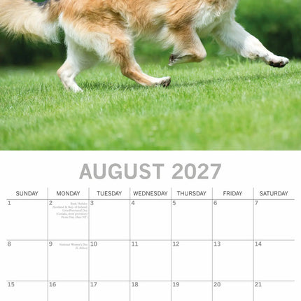 The Gifted Stationary Duitse Herder Kalender 2027