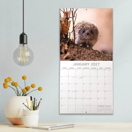 The Gifted Stationary Egel Kalender 2027