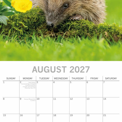 The Gifted Stationary Egel Kalender 2027