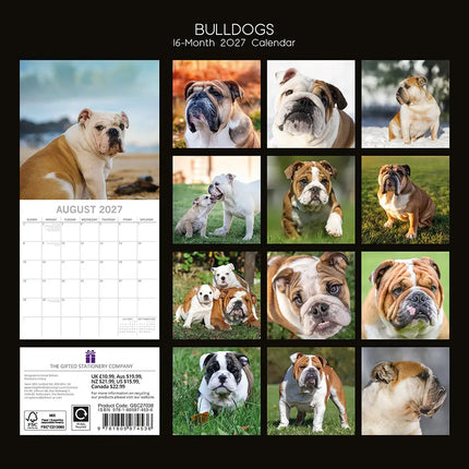 The Gifted Stationary Engelse Bulldog Kalender 2027
