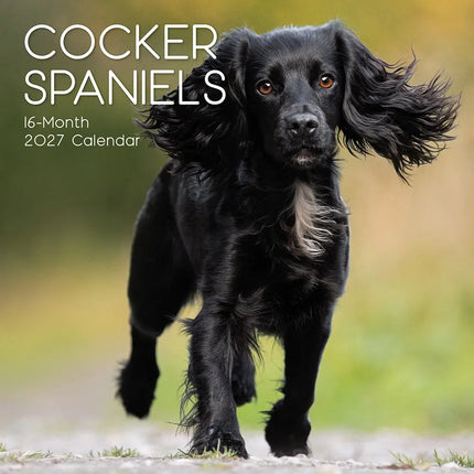The Gifted Stationary Engelse Cocker Spaniel Kalender 2027