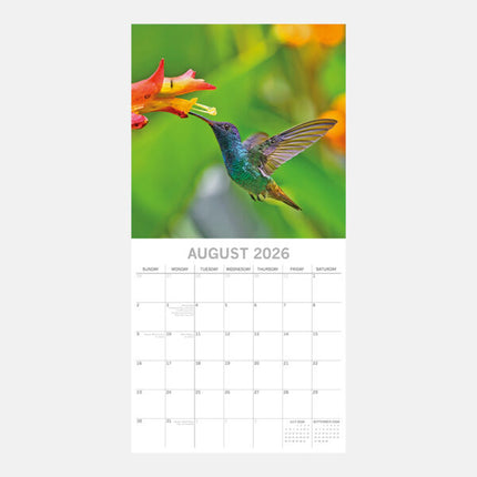 The Gifted Stationary Exotische Vogels Kalender 2026