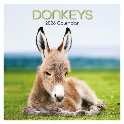 The Gifted Stationary Ezel 16 Maanden Kalender 2026
