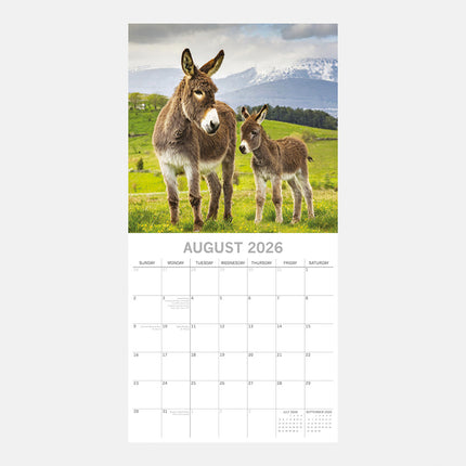 The Gifted Stationary Ezel 16 Maanden Kalender 2026